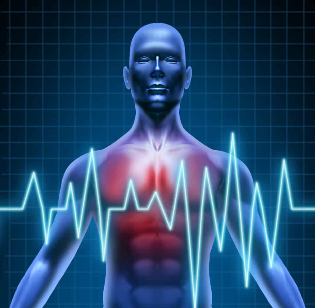 Blue model of a human torso with heart monitor overlay